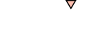 TriLift_logo_ white alternate with fill