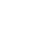 icon-fist