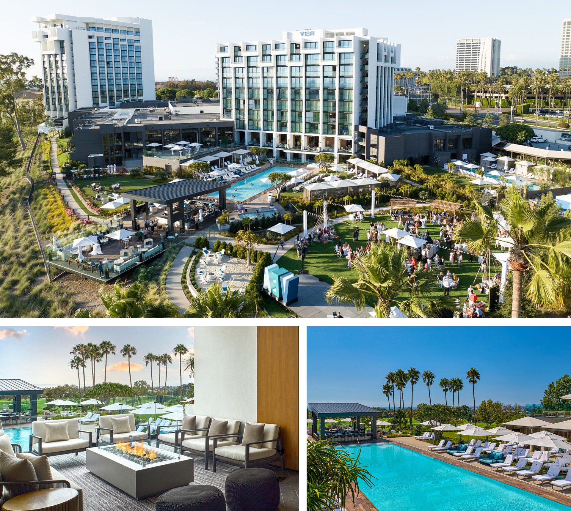 newport-2026-hotel-collage-960x860 newport-2026-hotel-collage-960x860